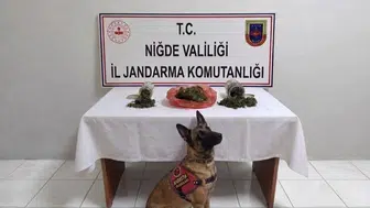 Niğde'de bir haftada 51 aranan şahıs yakalandı