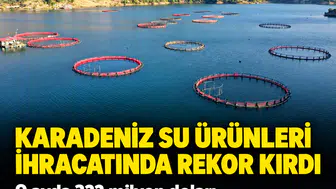 Karadeniz su ürünleri ihracatında rekor kırdı: 9 ayda 322 milyon doları aşan dev başarı