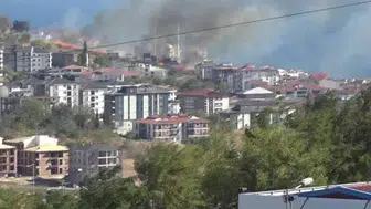 Tekirdağ'da yangında kurtarılan kaplumbağaya sahip çıkıldı