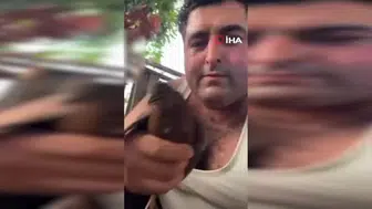 Alanya'da iki kuşa vahşet uygulayan şüpheli tutuklandı