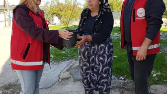 Besni'de yalnız yaşayan yaşlılara fidan dağıtıldı
