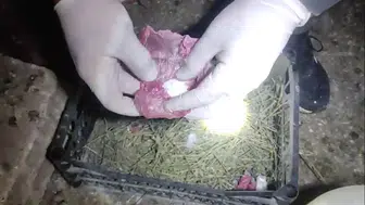 Iğdır'da kümese gizlenen uyuşturucuya operasyon: 3 şüpheli tutuklandı