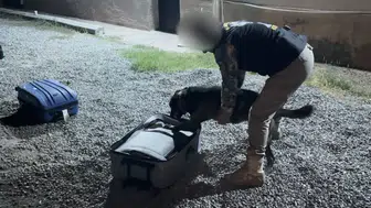 Iğdır'da uyuşturucu sevkiyatına darbe: 6 kişi tutuklandı
