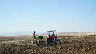 Muş Ovası’nda güzlük buğday ekimi başladı