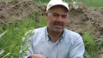 Sivas'ın Gürün ilçesinde ceviz ağacından düşen 70 yaşındaki adam hayatını kaybetti