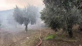 Erdek'te zeytin ağaçlarının arasındaki müstakil evde yangın