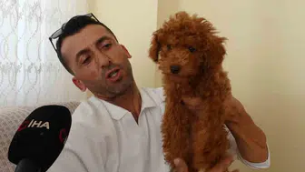 Antalya’da otobüs sürücüsünü şaşırtan yolcu: Canlı köpek bulundu