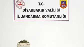 Diyarbakır'da 97 bin 743 kenevir ve 44 kilo esrar ele geçirildi