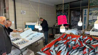 Türkeli'de palamutun adet fiyatı 50 liraya düştü