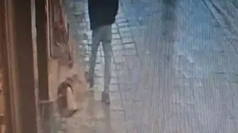 Avcılar'da uyuyan köpeğe tekme atan kişi hastanelik oldu