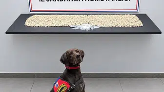 Şanlıurfa’da 14 bin 410 Captagon ve 20 gram metamfetamin ele geçirildi