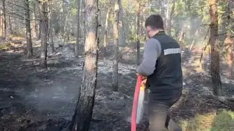 Karabük’te örtü yangını hızlıca kontrol altına alındı