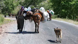 Toroslar'da yayla sezonu kapandı: Yörüklerin sahile zorlu dönüş göçü başladı