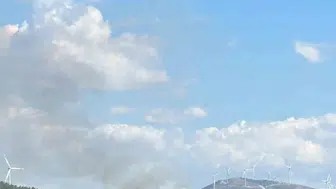 Bodrum'un Mazı Mahallesi'nde orman yangını başlatıldı