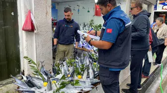 Sinop'ta perakende balık satış yerleri denetlendi