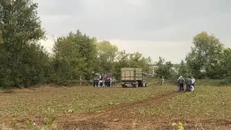Kastamonu'da tarlada silahlı kavga: 4 kişi hayatını kaybetti
