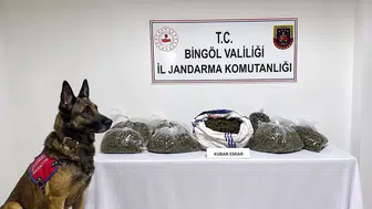 Bingöl jandarması bir haftada 25 olaya müdahale etti