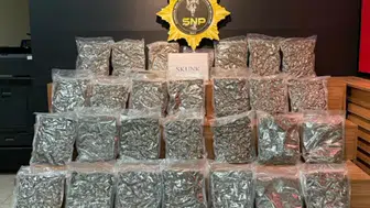 Şanlıurfa'da yolcu otobüsünde 16 kilo 400 gram skunk ele geçirildi