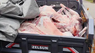 Batman'da kaçak kesilen et ve sakatata el konuldu