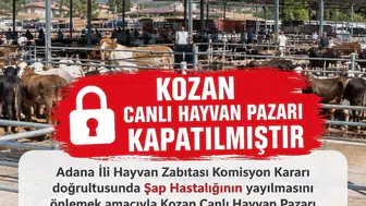 Kozan'daki canlı hayvan pazarı şap hastalığı nedeniyle kapatıldı