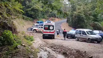 Sakarya'da acı son: Kestane toplamak için ormana giren adam ölü bulundu