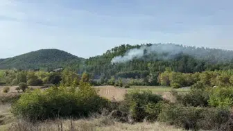 Çanakkale'deki orman yangını kontrol altına alındı