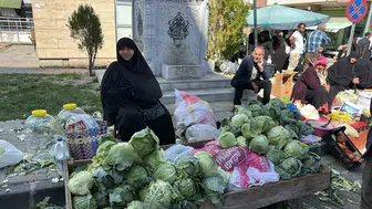 Alucra keleminin hasadı başladı, coğrafi işaret bekleniyor