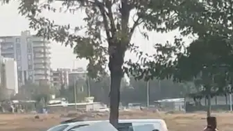 Siverek'te ağaca çarpan otomobil ikiye bölündü: 3 yaralı