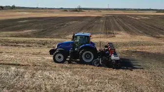 Tekirdağ'da anıza ekimle kanola yetiştiriciliği denenecek