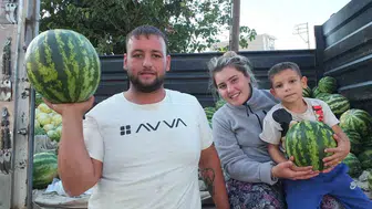 Burhaniye'de güz karpuzu üreticileri sevindiriyor