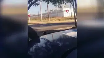 Meksika'da cezaevinde ayaklanma: 10 ölü, 16 yaralı