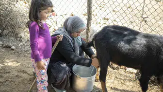 Mersin Büyükşehir Belediyesi'nden üreticilere güneş paneli desteği