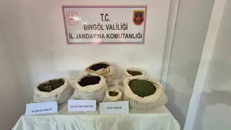 Bingöl’de jandarmadan uyuşturucu ve silah operasyonu: 49 şüpheli yakalandı