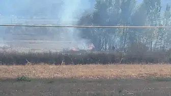 Tavşanlı'da çıkan arazi yangını hızlı müdahale ile söndürüldü