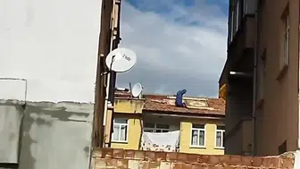 Elazığ'da bir kadın, canını hiçe sayarak çatıya halı serdi