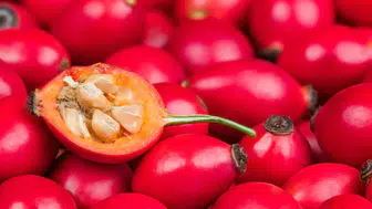 Acerola nedir? Limondan 50 kat C vitamini içeren bu tropikal meyvenin faydal