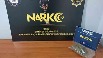 Ordu'da düzenlenen uyuşturucu operasyonunda bir kişi tutuklandı