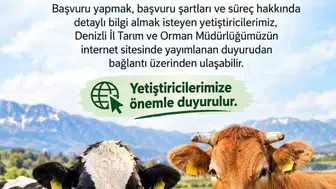 Denizli’de 2027 yılı besilik sığır ithalatı başvuruları başladı
