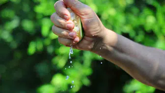 Karadeniz'de gemi trafiği durdu, Adana'da limon ve mandalina fiyatları düştü