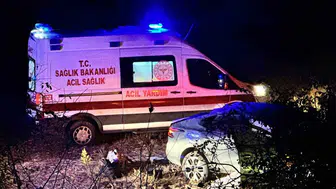 Edirne'de göçmenleri taşıyan otomobil devrildi: 10 yaralı