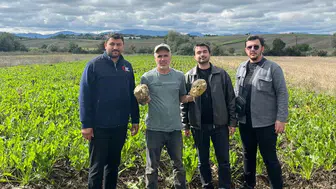 Vezirköprü'de şeker pancarı hasat dönemi başladı