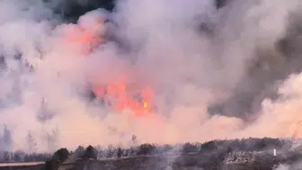 Büyükorhan'daki orman yangınına takviye ekipler sevk edildi