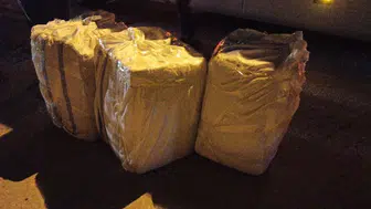 Düzce’de yapılan uyuşturucu operasyonunda 1 kişi tutuklandı
