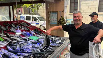 Türkeli'de palamut bereketi: Fiyatı düştü, yüzler güldü