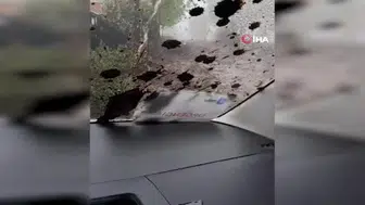 Şili'de şiddetli yağışlar nedeniyle sürücü sele kapıldı