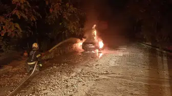 Pamukkale'de park halindeki otomobil alevlere teslim oldu