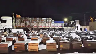 Yüksekova’da arı kovanlarında 91 kilogram uyuşturucu ele geçirildi