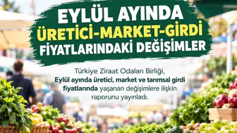Eylül ayında limonda üretici ve market fiyat farkı en yüksek seviyeye ulaştı