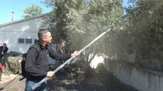 Balıkesir’de zeytin hasadında makineleşme teşvik ediliyor