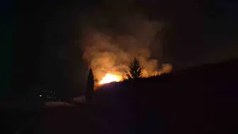 Adıyaman’da anız yangınında birçok ağaç zarar gördü